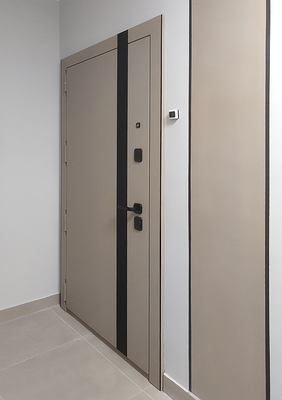 Квартирная дверь с МДФ RAL